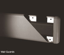 Wall_Guards_DST